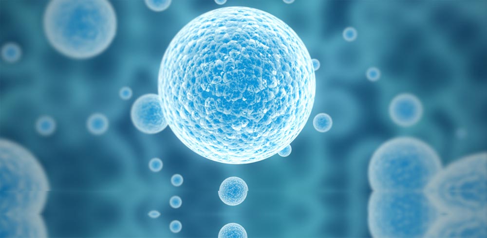 Medical-Oncology Medical-Oncology