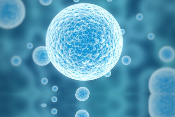 Medical-Oncology Medical-Oncology